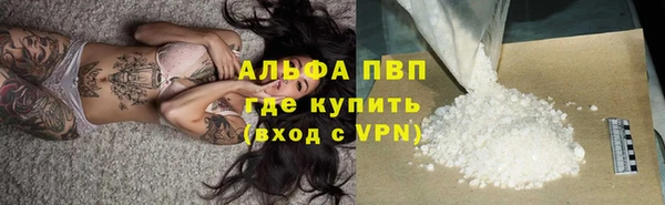 Альфа ПВП Горняк