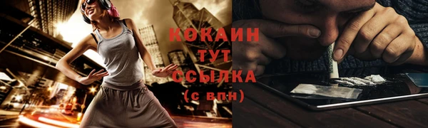 ГАЛЛЮЦИНОГЕННЫЕ ГРИБЫ Горно-Алтайск