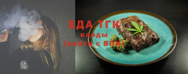Альфа ПВП Горняк
