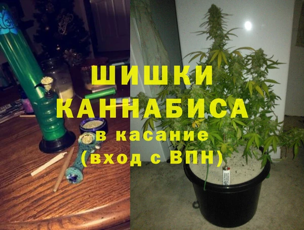 ГАЛЛЮЦИНОГЕННЫЕ ГРИБЫ Горно-Алтайск