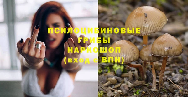 Альфа ПВП Горняк