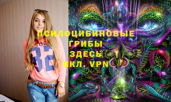 Альфа ПВП Горняк