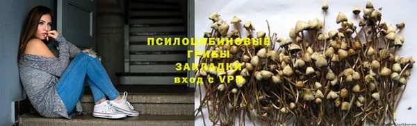 ГАЛЛЮЦИНОГЕННЫЕ ГРИБЫ Горно-Алтайск