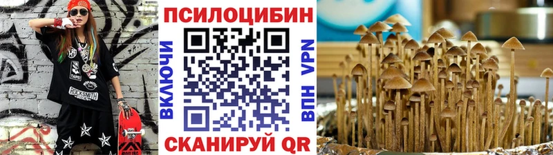 Купить  Ивангород  Галлюциногенные грибы Cubensis 