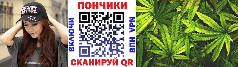 Купить закладки  Ивангород  Канабис MAZAR 